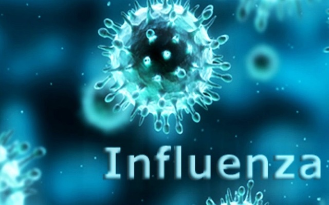 Prevenzione e Controllo dell'Influenza: Raccomandazioni per la Stagione 2018-2019